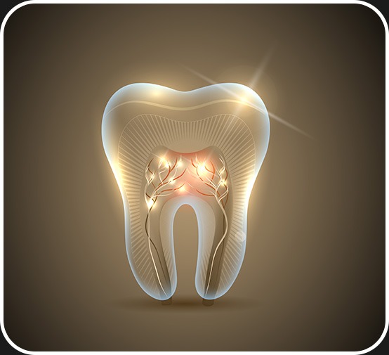 Root Canal Therapy | Canterra Dental Centre | Downtown Calgary | General and Family Dentist